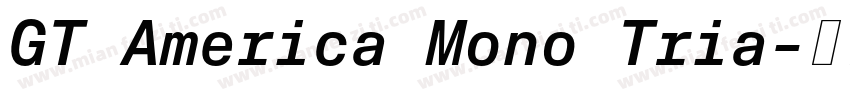 GT America Mono Tria字体转换